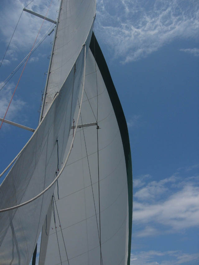 5-06-06 sails